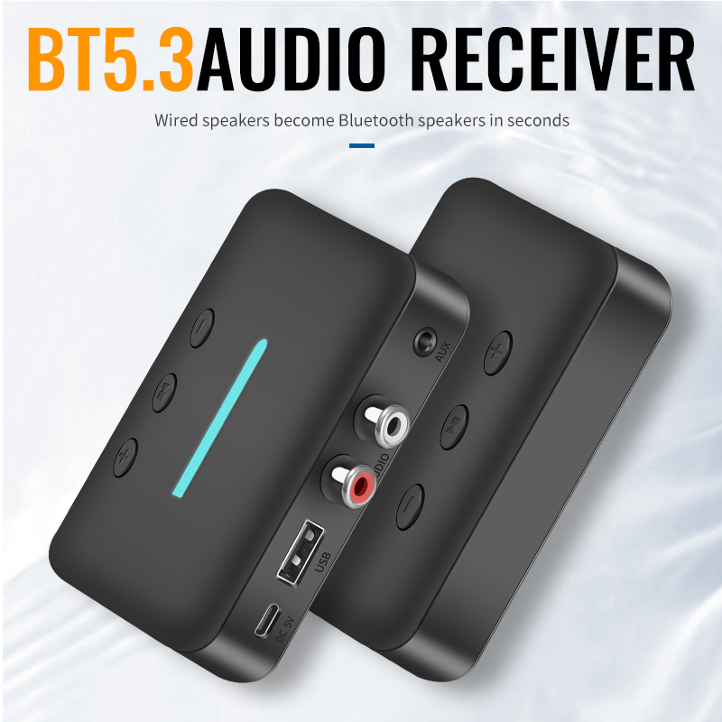 USB Bluetooth 5.3 Audio-ontvan - L Musical Instrument recensie en prijs