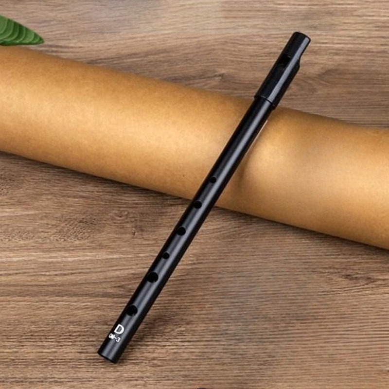D Key Tin Whistle Beginner Kin - Tin Whistle Flute recensie en prijs