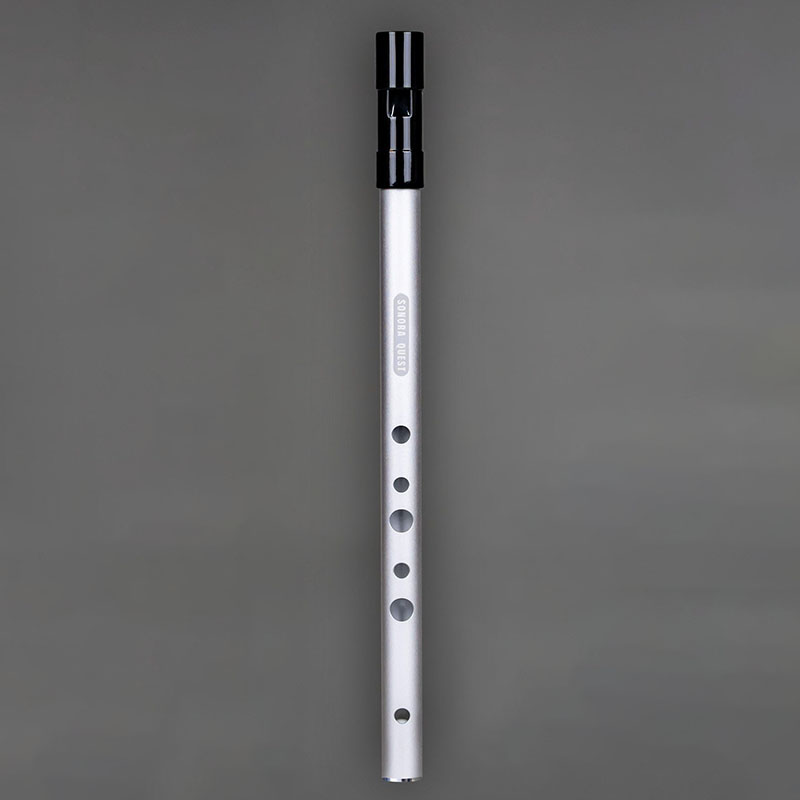 D Key 6 Hole Penny Whistle Met - Tin Whistle Flute recensie en prijs
