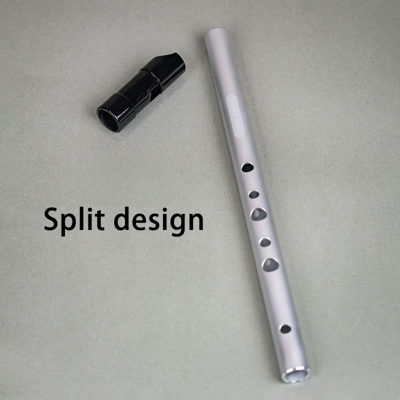D Key 6 Hole Penny Whistle Met - Tin Whistle Flute recensie en prijs