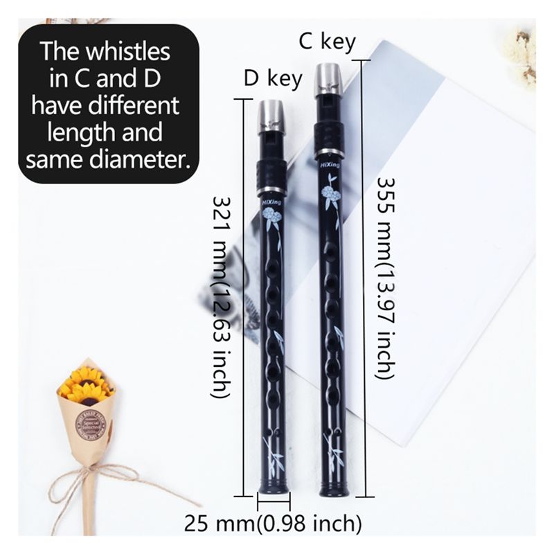 ABLB-6 Gaten Ierse Tin Penny F - Tin Whistle Flute recensie en prijs