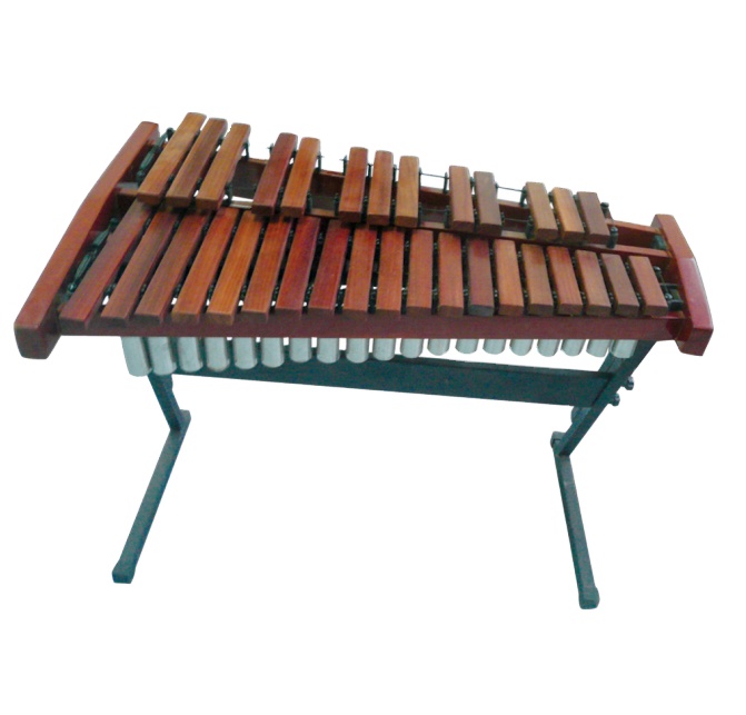 32-toons professionele xylofoo - Musical Instrument Xylophone recensie en prijs