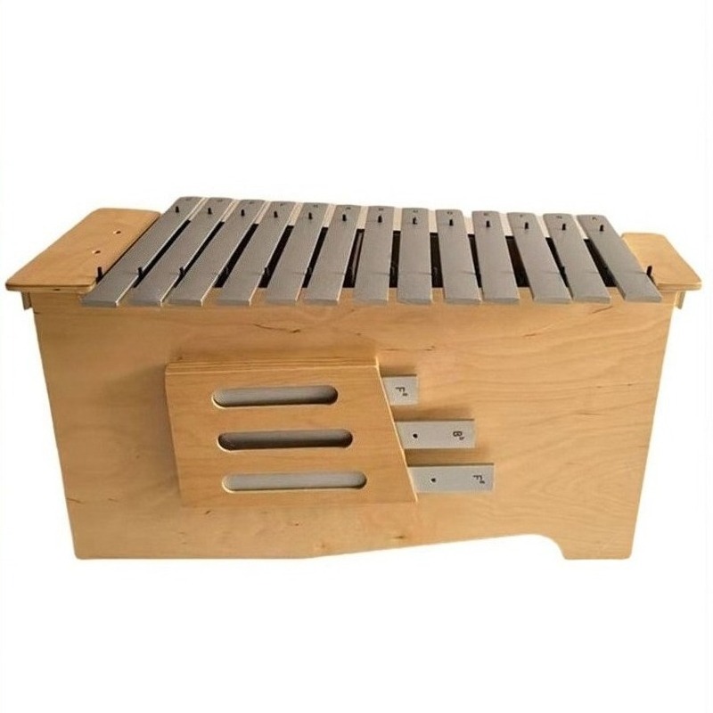 Aluminium Xylofoon 13 Tonen Pr - Musical Instrument Xylophone recensie en prijs