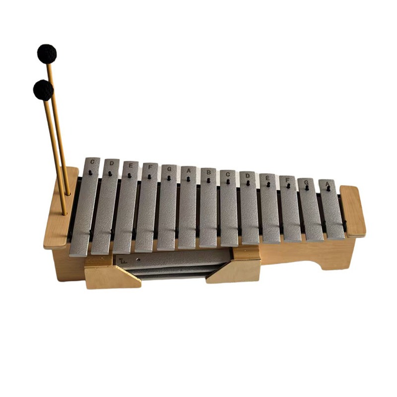 Aluminium Xylofoon 13 Tonen Pr - Musical Instrument Xylophone recensie en prijs