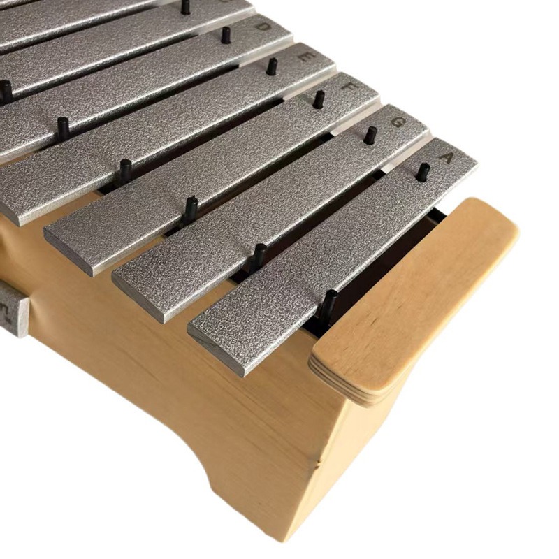 Aluminium Xylofoon 13 Tonen Pr - Musical Instrument Xylophone recensie en prijs