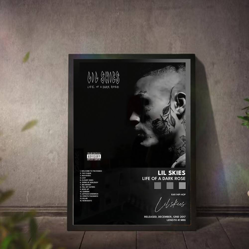 L-Lil S-Skies Poster Muziekalb - L Musical Instrument recensie en prijs