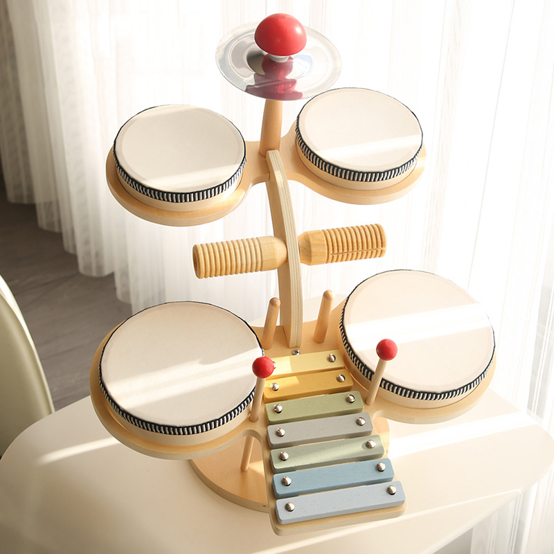 Montessori Educatief Speelgoed - Musical Instrument Xylophone recensie en prijs