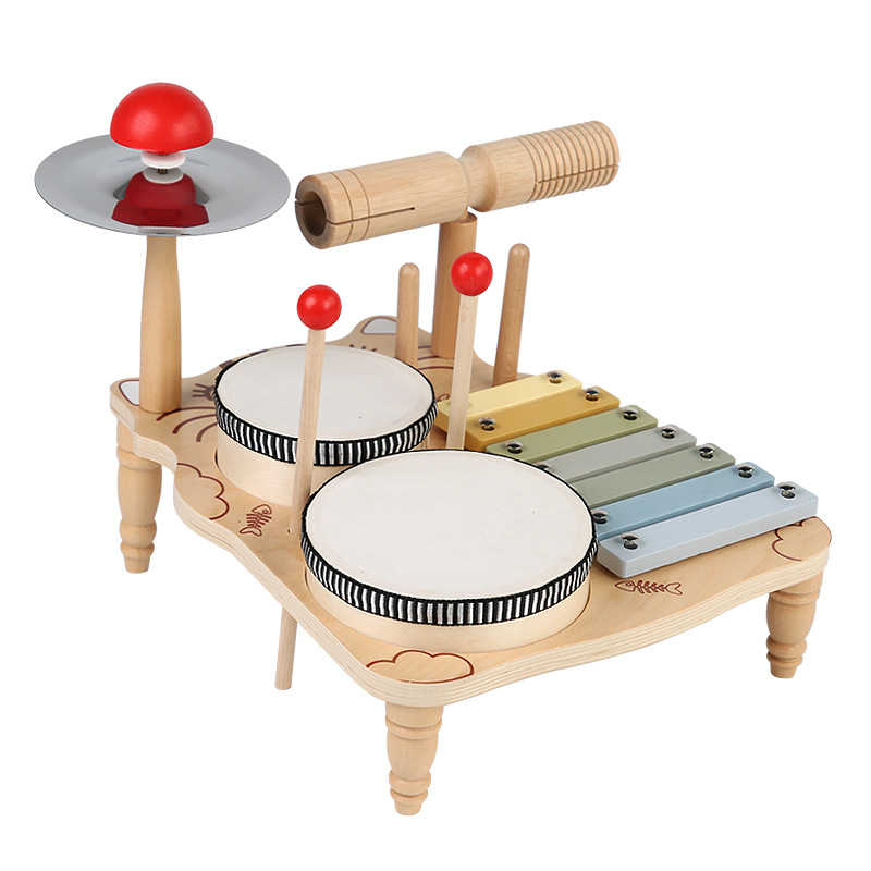 Montessori Educatief Speelgoed - Musical Instrument Xylophone recensie en prijs